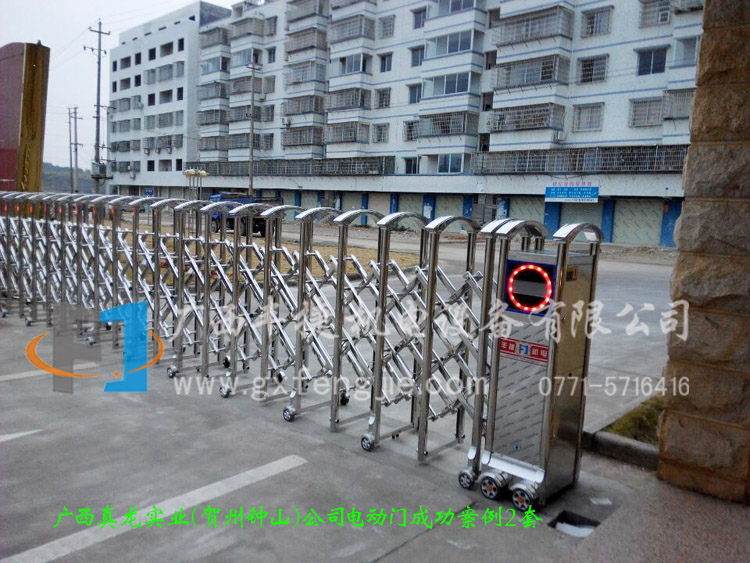 廣西真龍實業(yè)（賀州鐘山）公司電動門成功案例2套